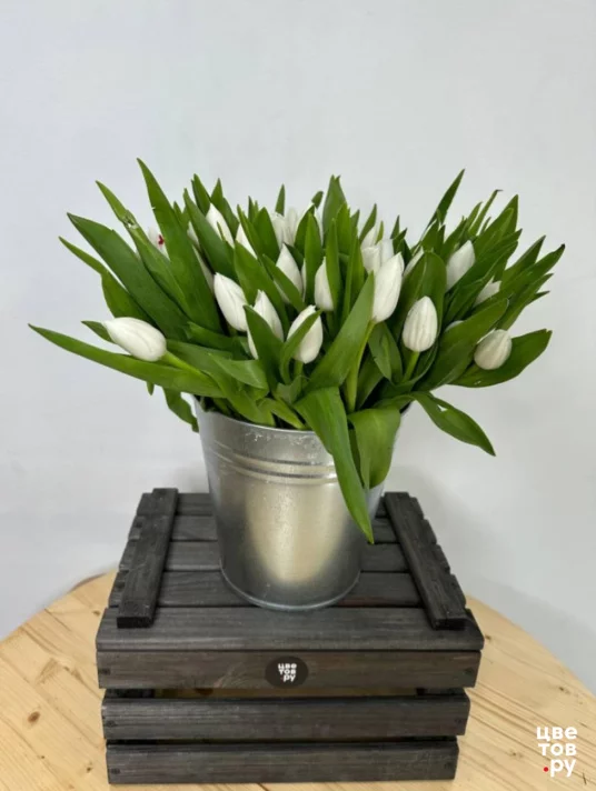 Монобукет из 41 белого тюльпана в вазе-ведре
